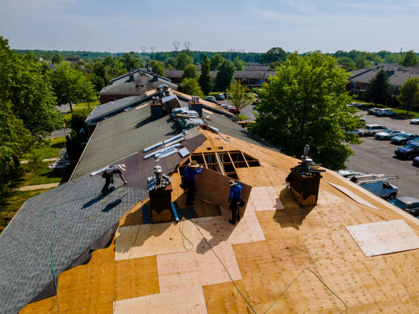 24/7 Emergency Flat Roof Repair experts in Lorton, NE